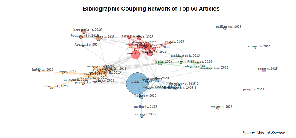 Bibliographic Coupling Ağı
