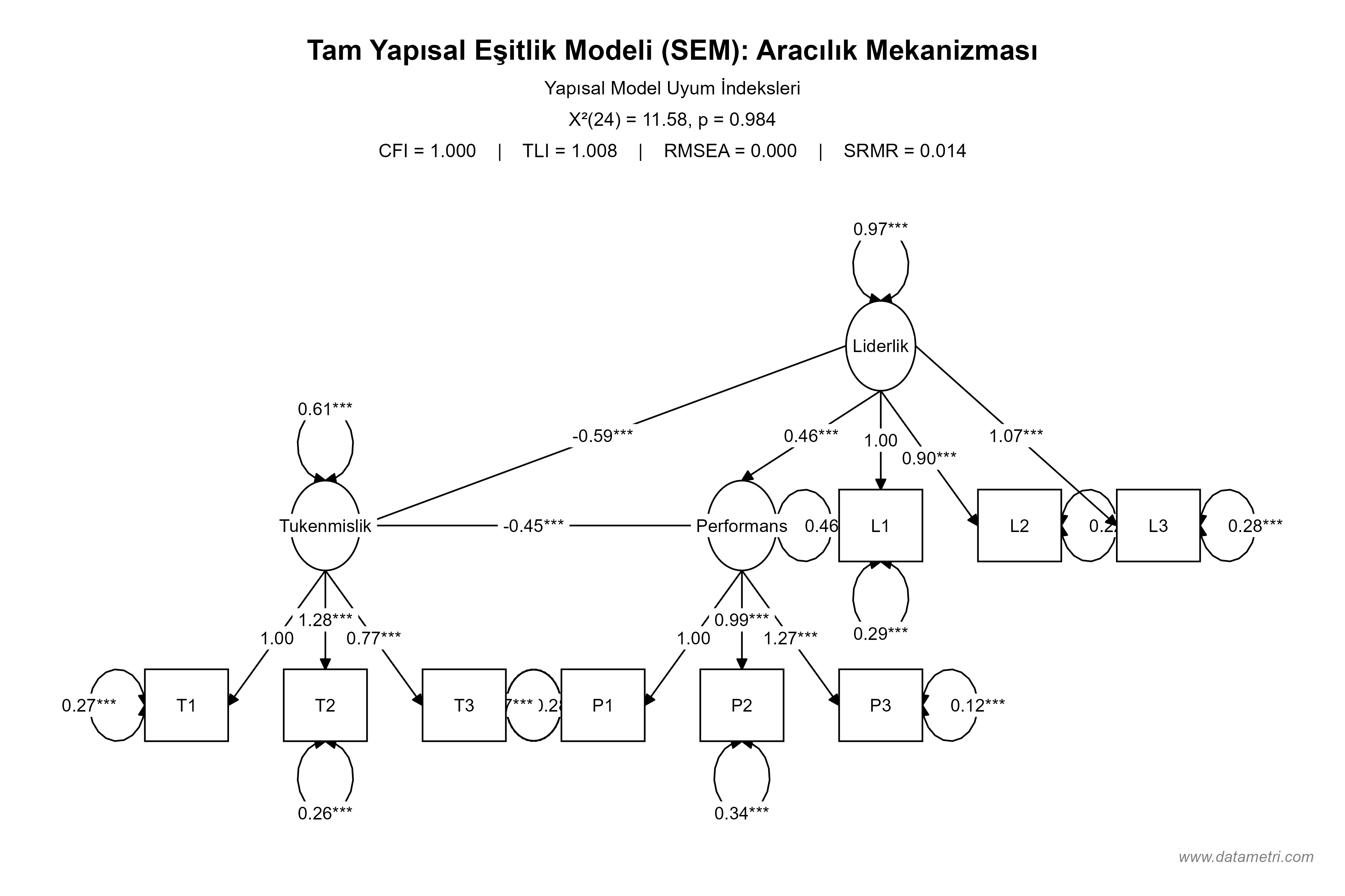Tam Yapısal Eşitlik Modellemesi ve Aracılık Etkisi