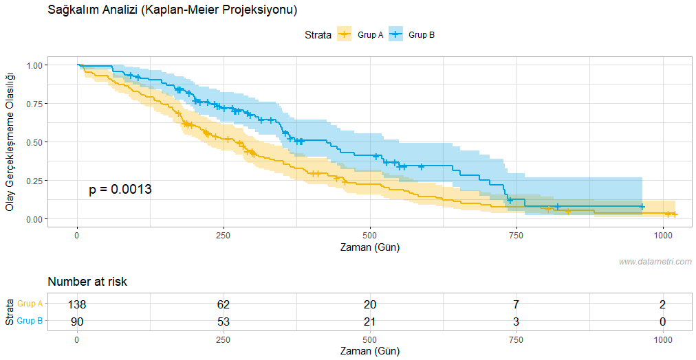 Kaplan-Meier Sağkalım Analizi