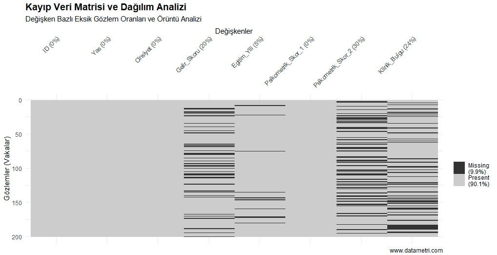 Kayıp Veri Matrisi Görselleştirmesi