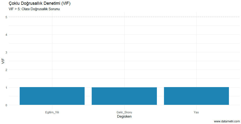 Çoklu Doğrusallık Denetimi (VIF)