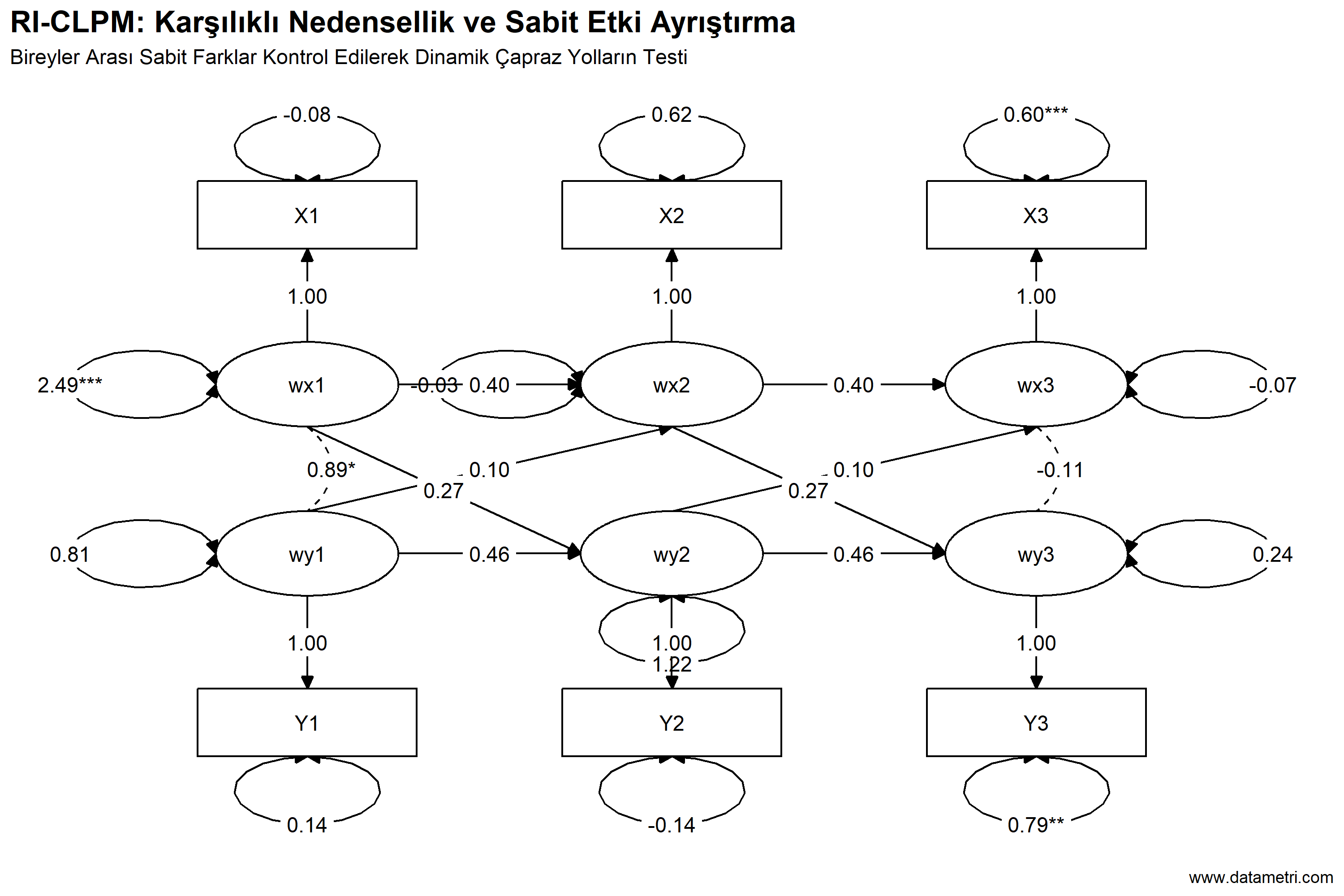 RI-CLPM Karşılıklı Nedensellik