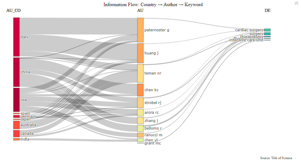 Makro Bilgi Akışı Sankey