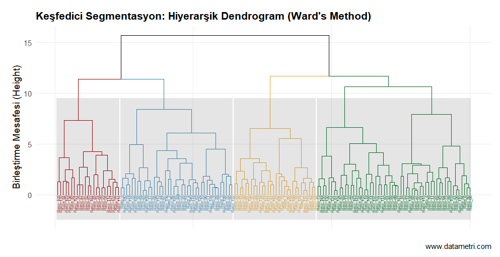 Hiyerarşik Kümeleme Dendrogramı