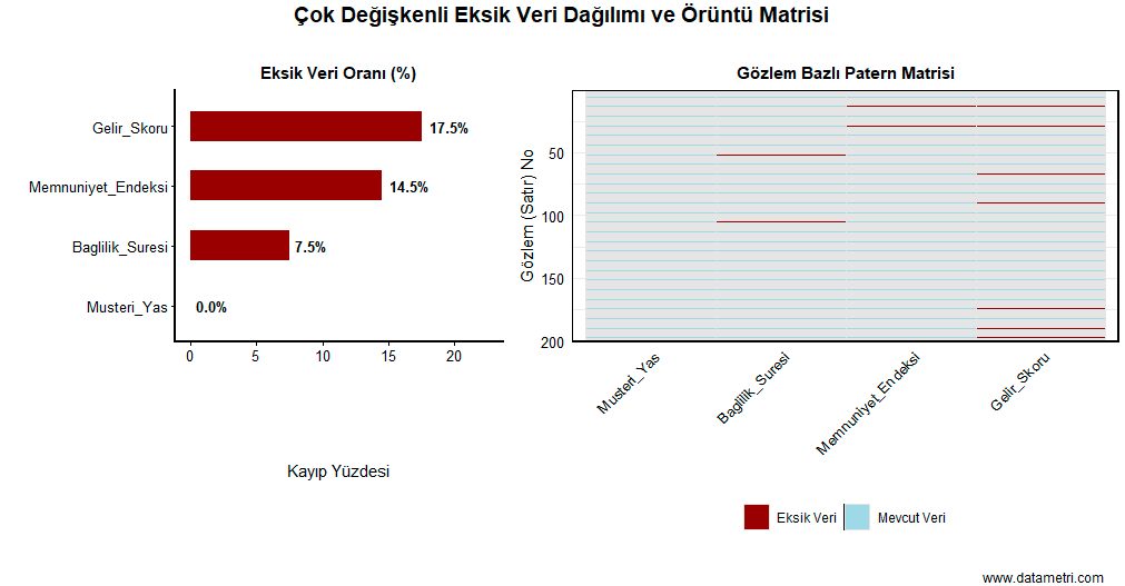 Missing Data Pattern Matrix