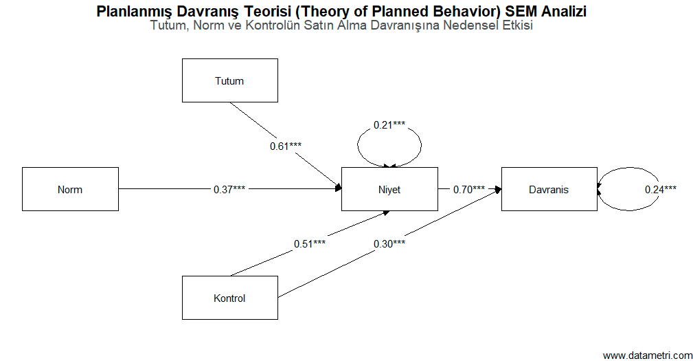 Planlanmış Davranış Teorisi SEM Analizi