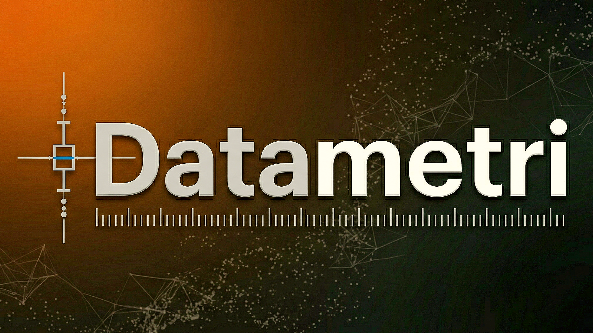 Datametri Logo
